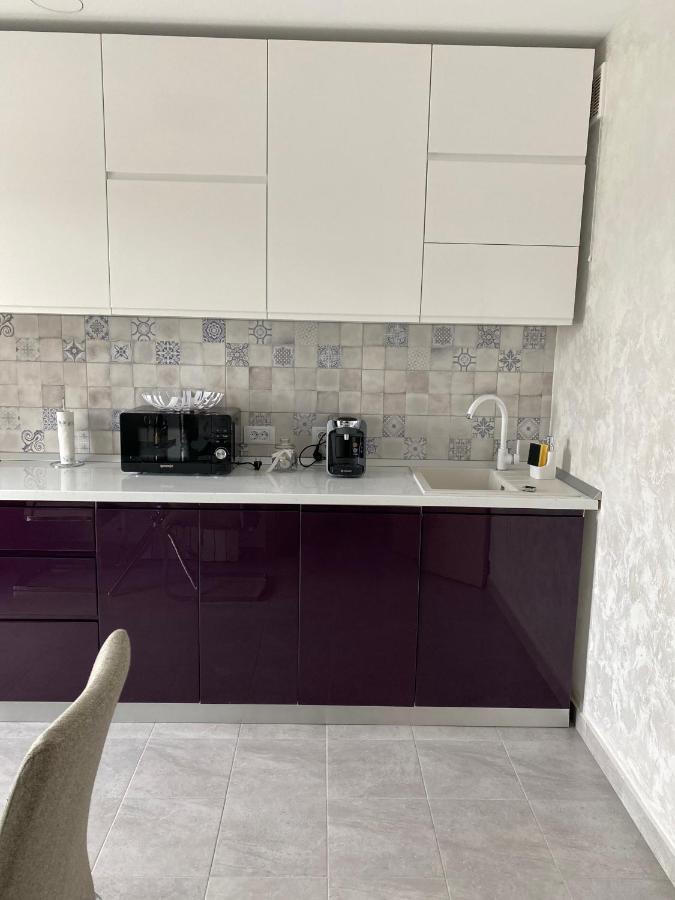 Dina Lux Iasi Apartment Ngoại thất bức ảnh
